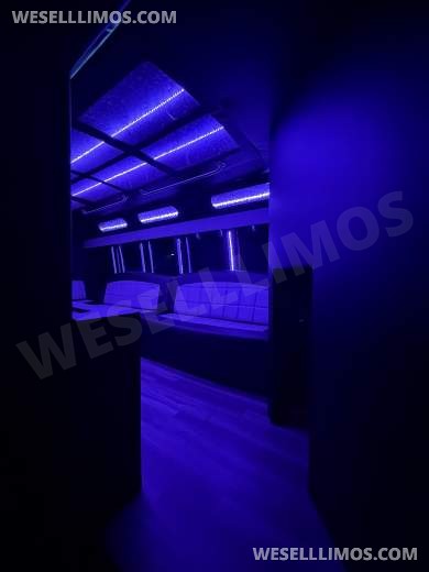 2015 party bus Chevrolet 3500  Limo Bus