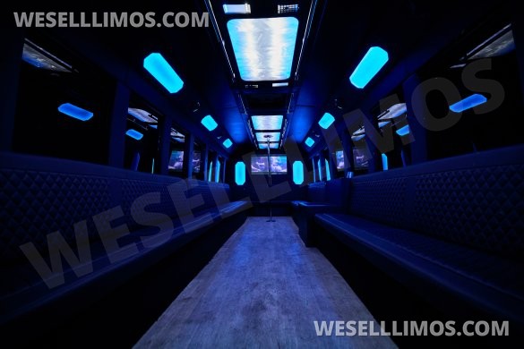 2011 Ford F-650 Super Duty Limo Bus – Tiffany Coach Build