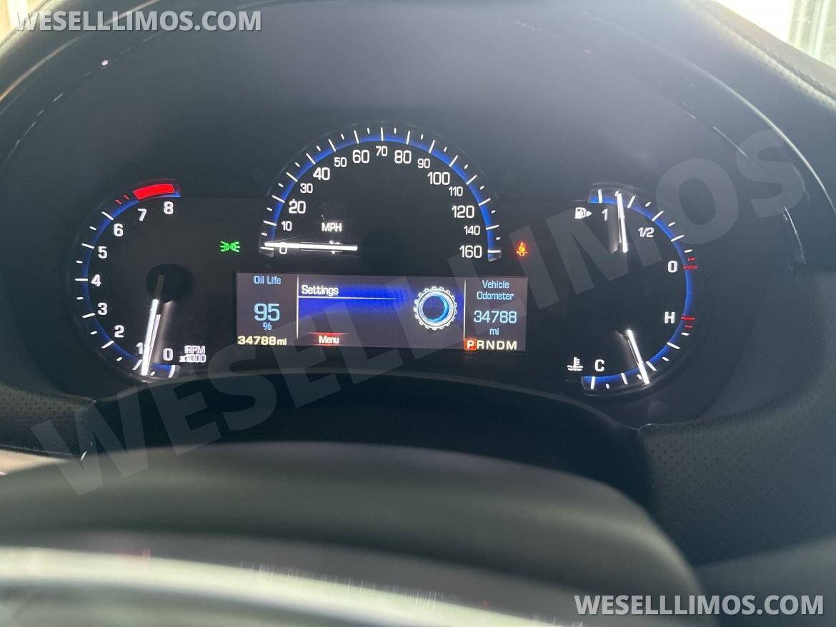Photo of Funeral for sale: 2014 Cadillac XTS 22" by Heritage