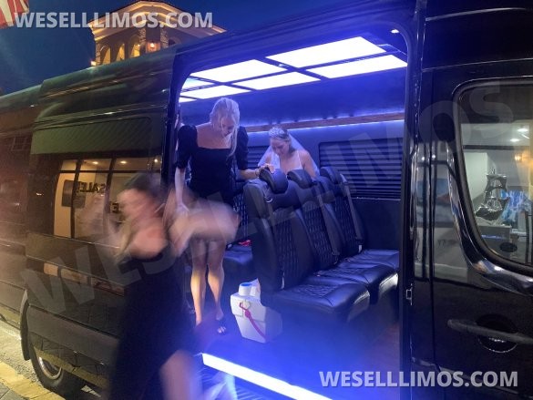 2016 Battisti Custom Mercedes-Benz Sprinter 3500 Sprinter