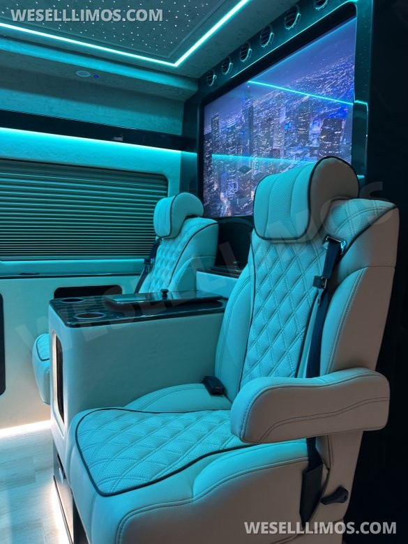 2025 Luxury Sprinter Van - 10 Seater - Financing Available