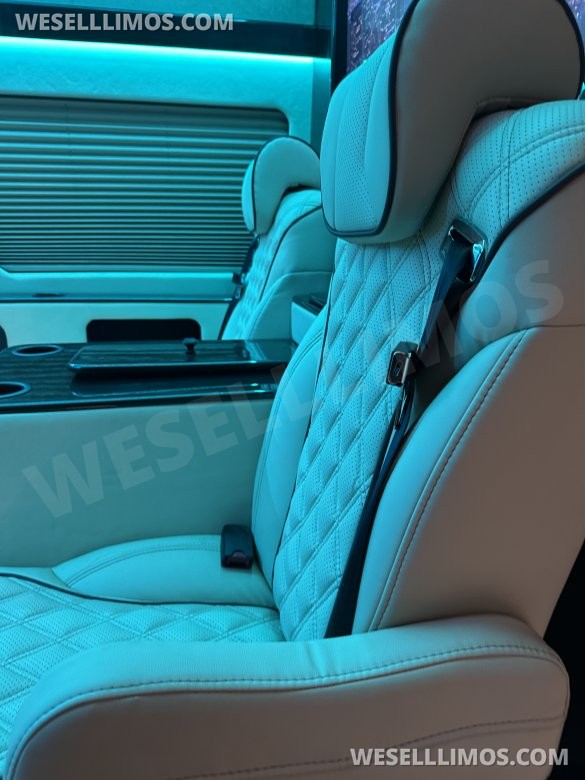 2025 Luxury Sprinter Van - 10 Seater - Financing Available