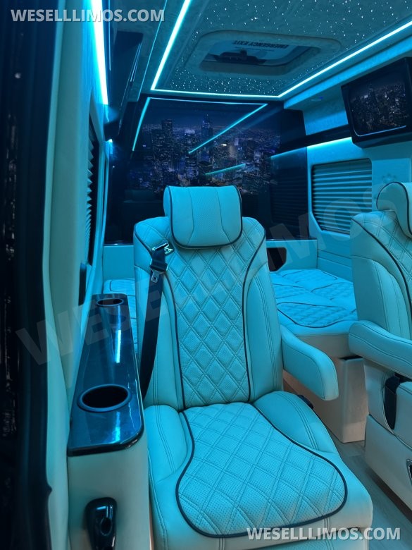 2025 Luxury Sprinter Van - 10 Seater - Financing Available