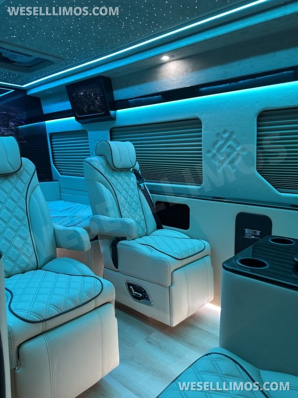 2025 Luxury Sprinter Van - 10 Seater - Financing Available