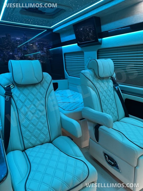 2025 Luxury Sprinter Van - 10 Seater - Financing Available