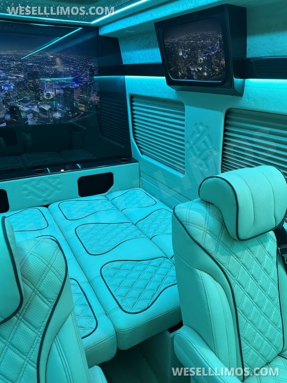 2025 Luxury Sprinter Van - 10 Seater - Financing Available