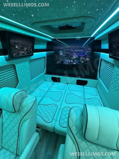 2025 Luxury Sprinter Van - 10 Seater - Financing Available