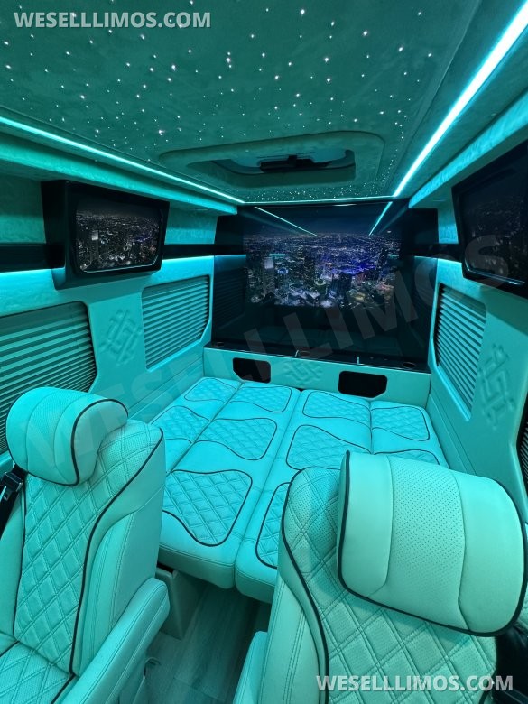 2025 Luxury Sprinter Van - 10 Seater - Financing Available