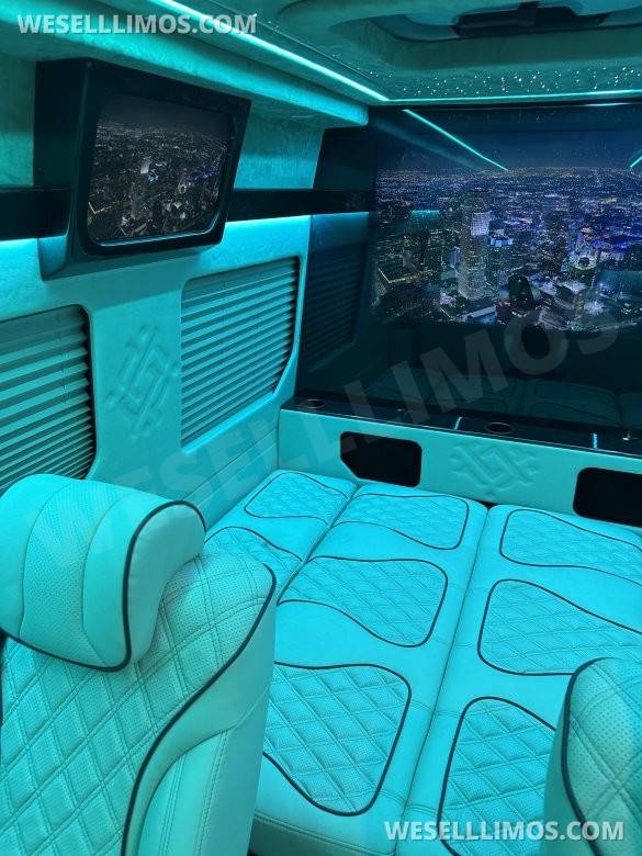 2025 Luxury Sprinter Van - 10 Seater - Financing Available