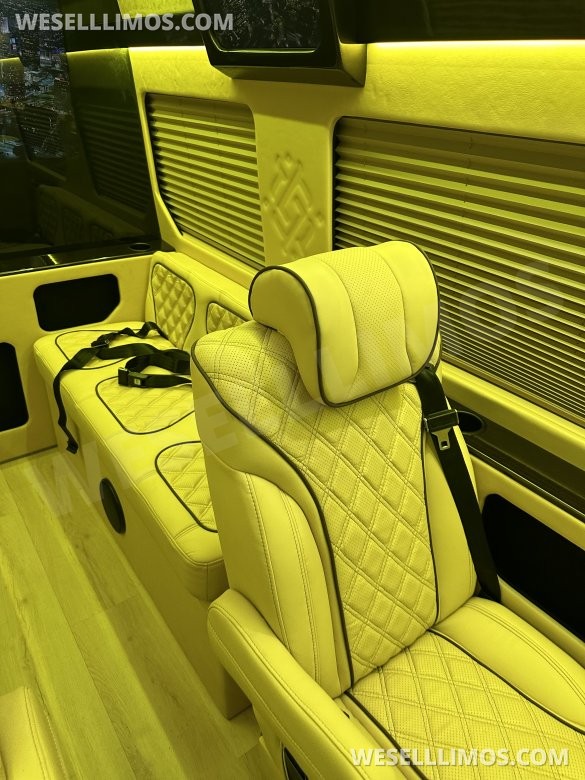2025 Luxury Sprinter Van - 10 Seater - Financing Available