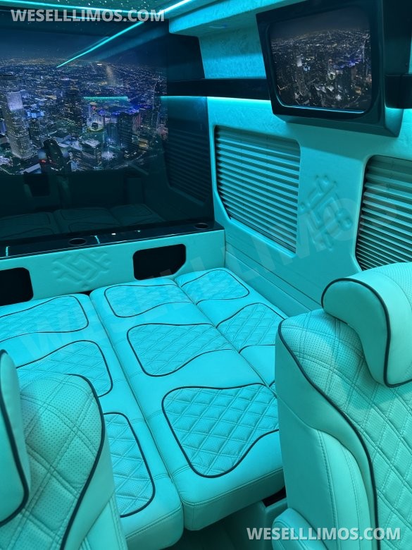 2025 Luxury Sprinter Van - 10 Seater - Financing Available
