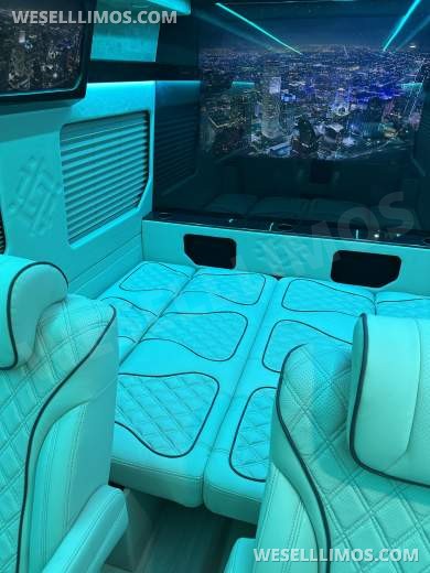 2025 Luxury Sprinter Van - 10 Seater - Financing Available