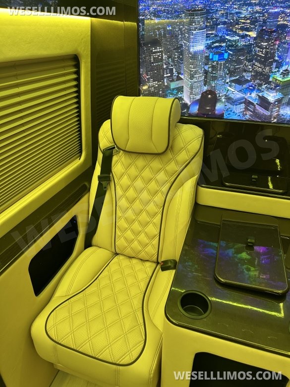 2025 Luxury Sprinter Van - 10 Seater - Financing Available