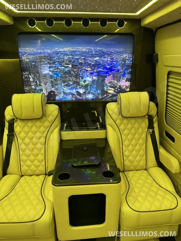2025 Luxury Sprinter Van - 10 Seater - Financing Available