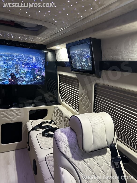 2025 Luxury Sprinter Van - 10 Seater - Financing Available