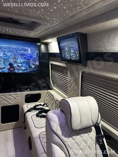 2025 Luxury Sprinter Van - 10 Seater - Financing Available