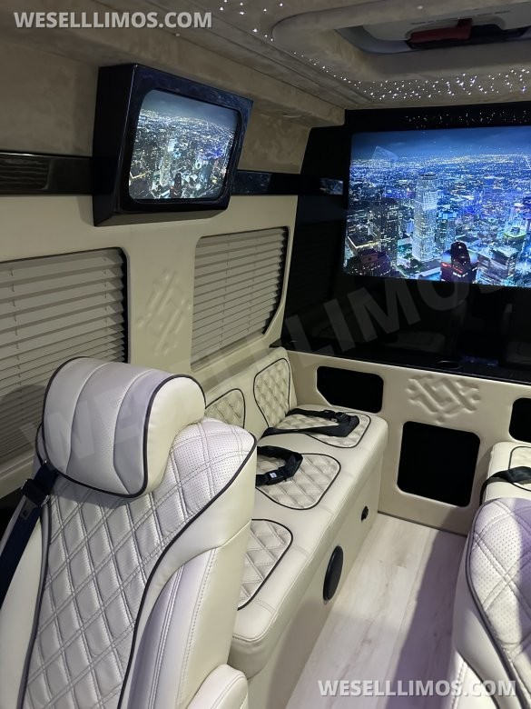 2025 Luxury Sprinter Van - 10 Seater - Financing Available