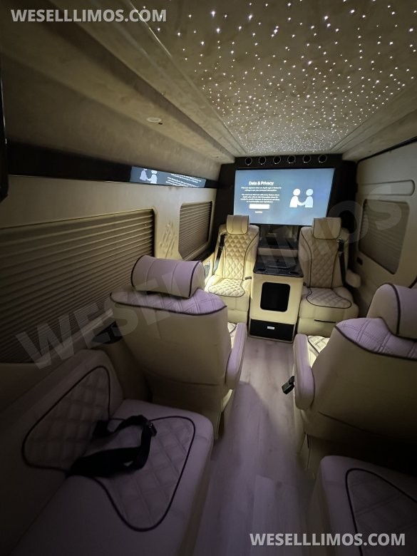 2025 Luxury Sprinter Van - 10 Seater - Financing Available
