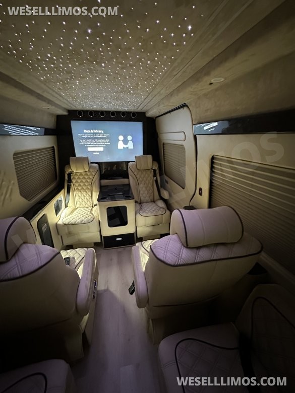 2025 Luxury Sprinter Van - 10 Seater - Financing Available