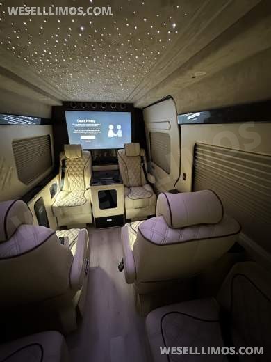 2025 Luxury Sprinter Van - 10 Seater - Financing Available