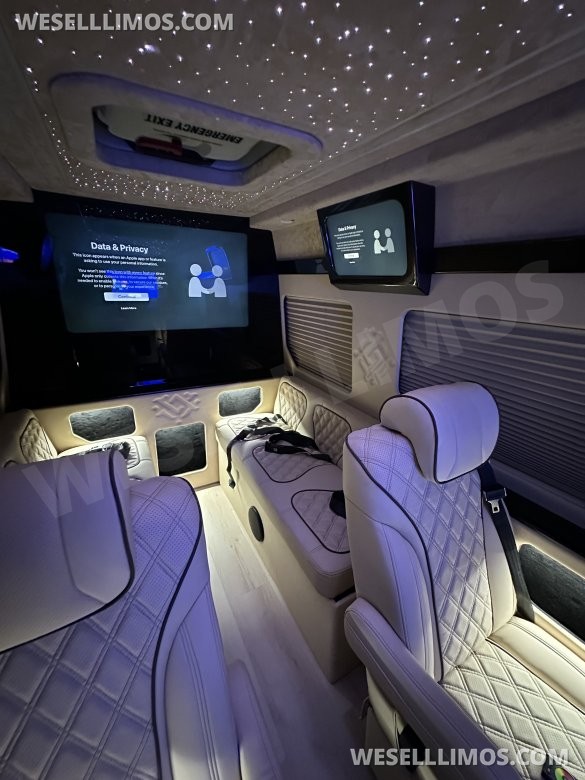 2025 Luxury Sprinter Van - 10 Seater - Financing Available