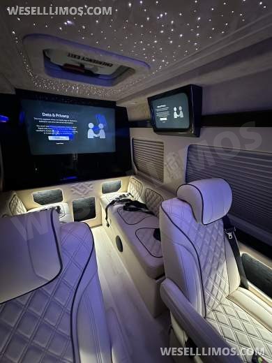 2025 Luxury Sprinter Van - 10 Seater - Financing Available