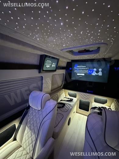 2025 Luxury Sprinter Van - 10 Seater - Financing Available