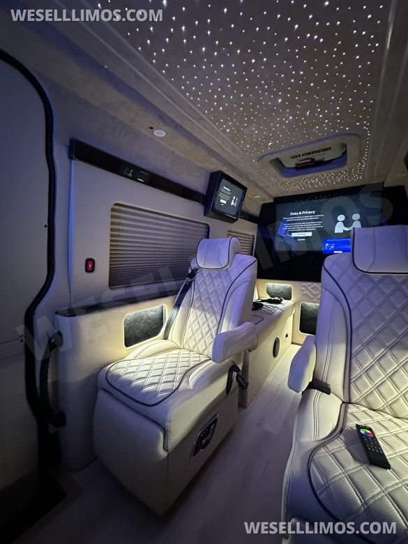 2025 Luxury Sprinter Van - 10 Seater - Financing Available