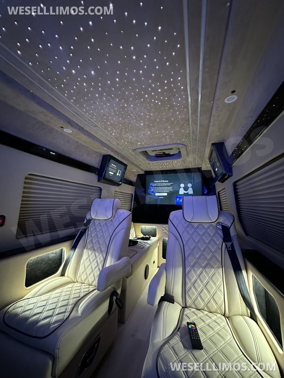 2025 Luxury Sprinter Van - 10 Seater - Financing Available