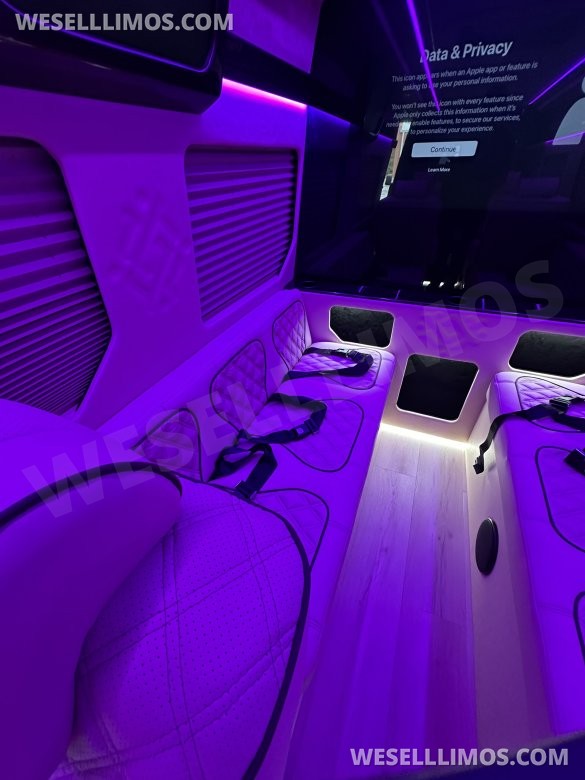 2025 Luxury Sprinter Van - 10 Seater - Financing Available