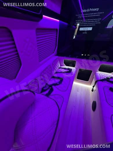 2025 Luxury Sprinter Van - 10 Seater - Financing Available