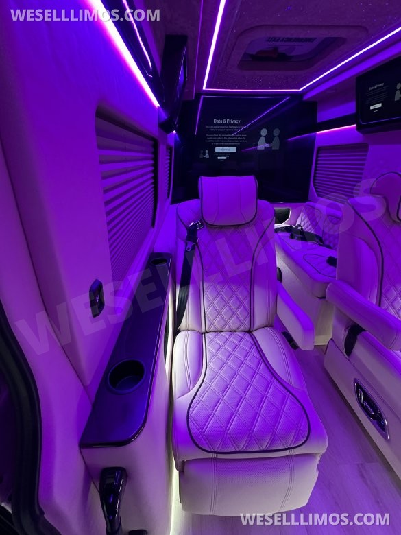 2025 Luxury Sprinter Van - 10 Seater - Financing Available