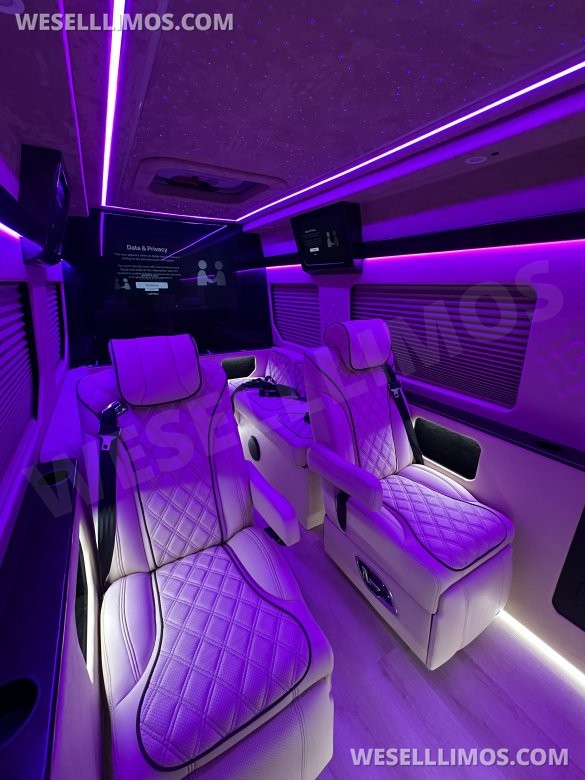 2025 Luxury Sprinter Van - 10 Seater - Financing Available