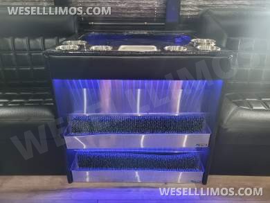 2001 Ford Econoline Limo Bus Limo Bus