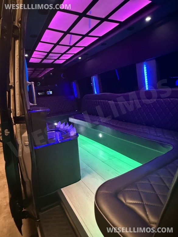 2013 Mercedes-Benz Sprinter Party Bus