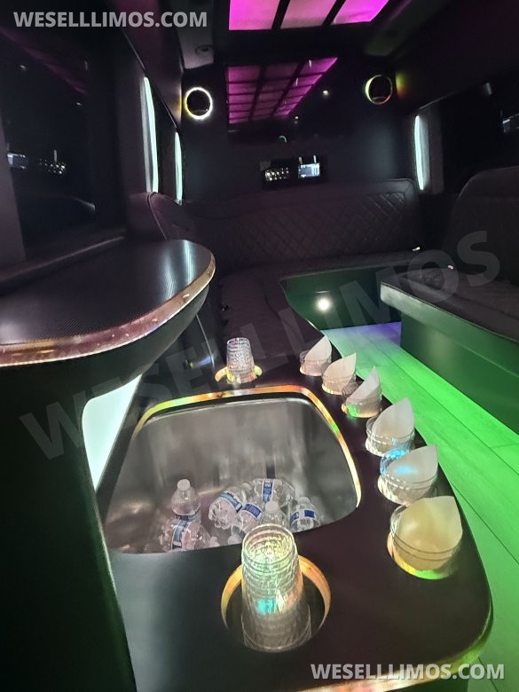 2013 Mercedes-Benz Sprinter Party Bus