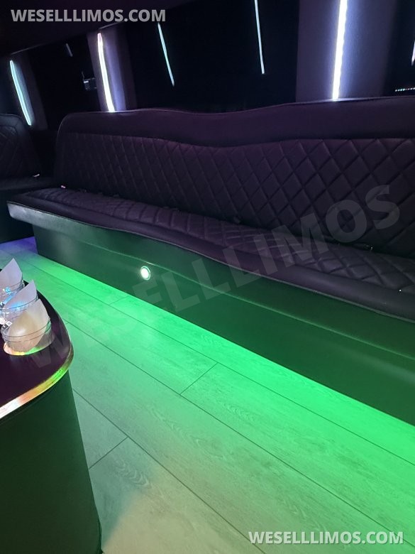 2013 Mercedes-Benz Sprinter Party Bus