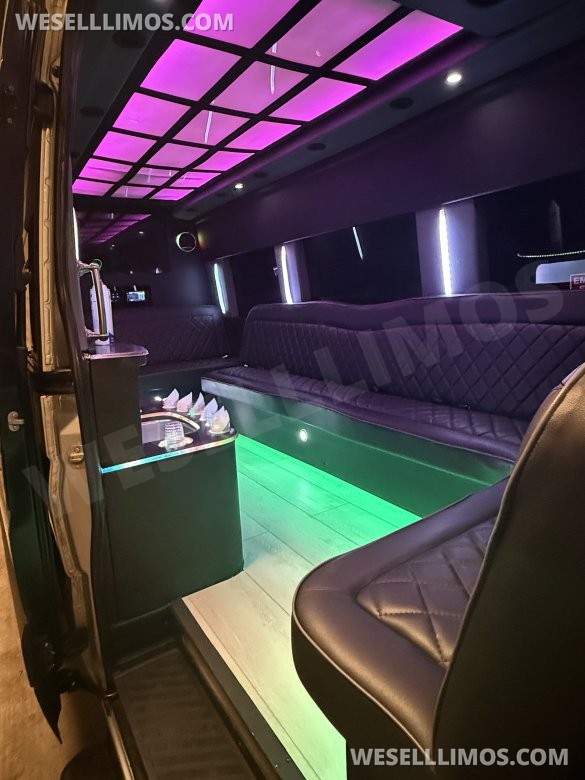 2013 Mercedes-Benz Sprinter Party Bus