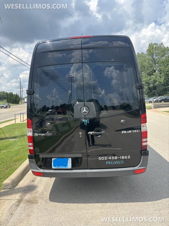 2013 Executive Coach Builders Mercedes-Benz 3500 Sprinter