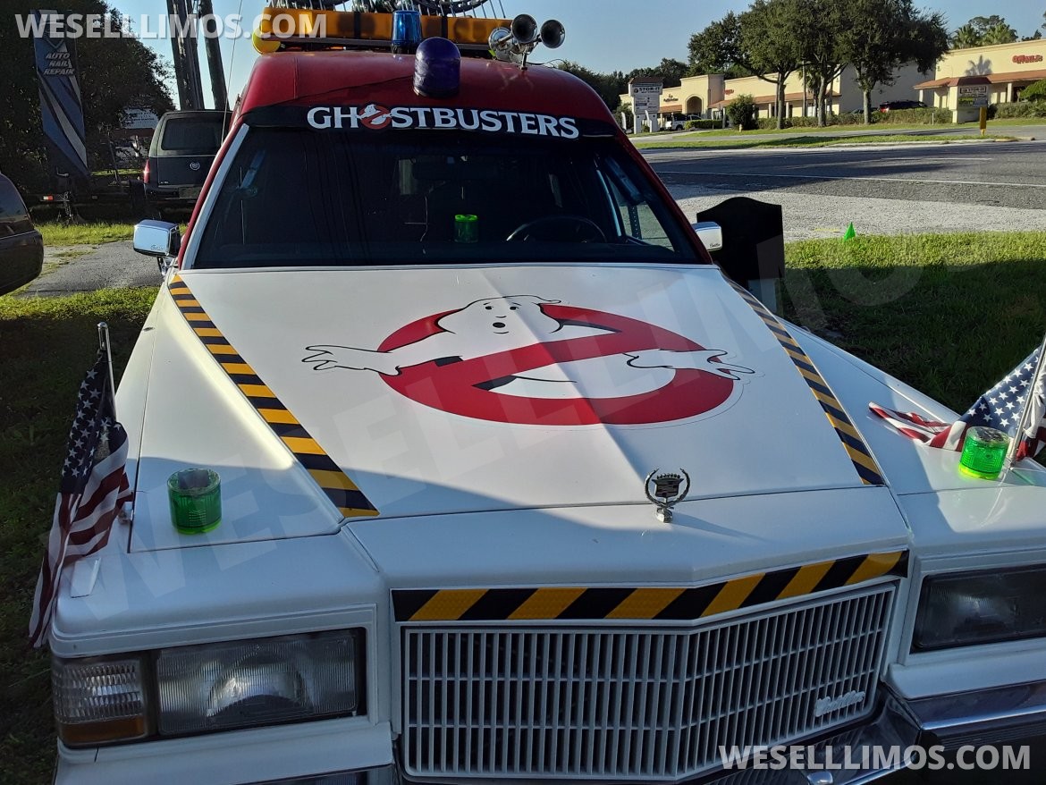 Photo of Funeral for sale: 1992 Cadillac Fleetwood 21" by Ghostbusters