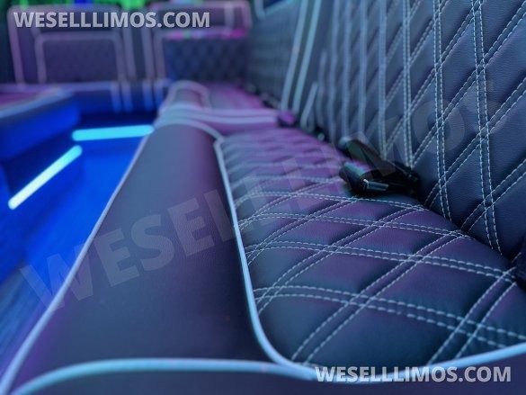 2025 Global Motor Coach Mercedes-Benz Sprinter 3500 - 4 Seat Model Limo Bus