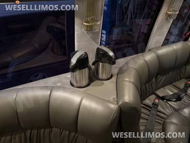 2000 Turtle Top Ford Terra Transit E450 Limo Bus