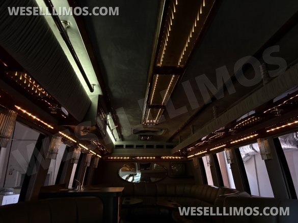 2000 Turtle Top Ford Terra Transit E450 Limo Bus
