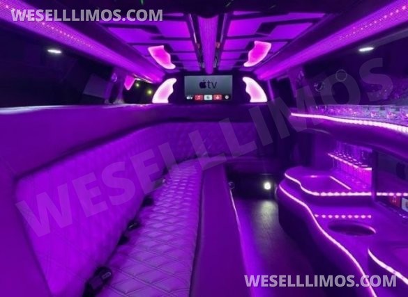 •CUSTOM 5-DOOR• 2023 Moonlight Chrysler 300L White Tuxedo 12-Passenger Limousine
