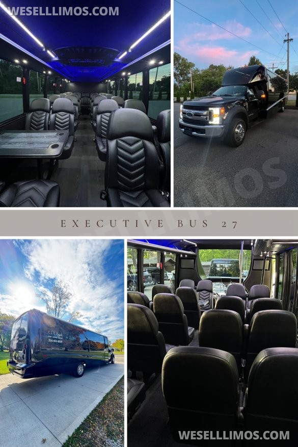 2018 Grech  Ford Grech GM33 Shuttle Bus