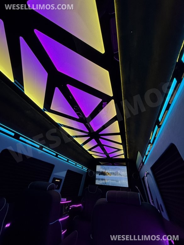 Brand New VIP Style  Mercedes-Benz Sprinter