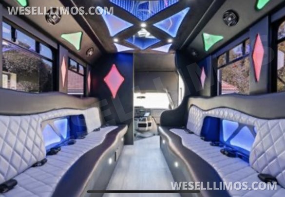 2014 Coach builder Ford E450 Limo Bus