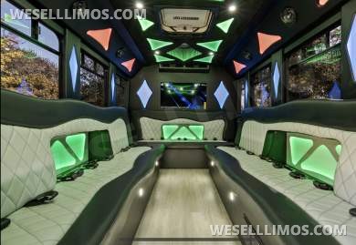 2014 Coach builder Ford E450 Limo Bus