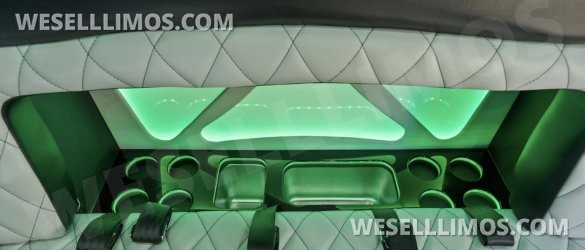 2014 Coach builder Ford E450 Limo Bus
