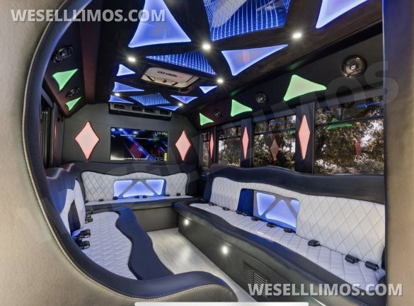 2014 Coach builder Ford E450 Limo Bus